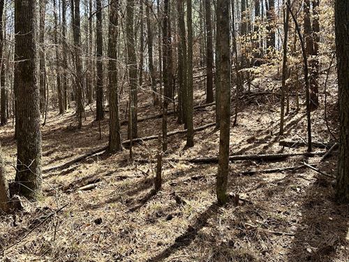 Secluded 10.75 Acres No HOA : Plainville : Gordon County : Georgia