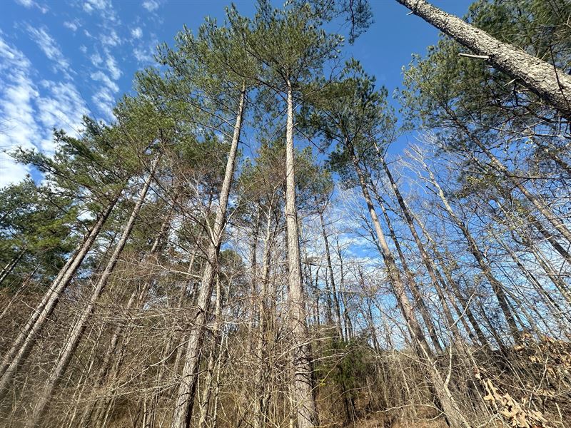Ruckersville Road : Elberton : Elbert County : Georgia