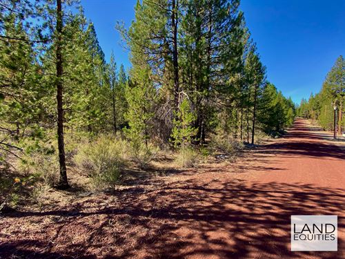 Trees, Power & Private River Access : Chiloquin : Klamath County : Oregon