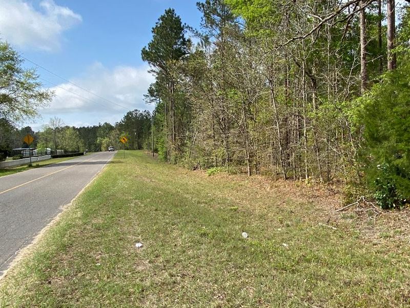Lot 6, 1.09 Acre Lot in The Country : Swainsboro : Emanuel County : Georgia