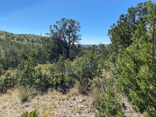 Secluded with Stunning Hill Views : Timberon : Otero County : New Mexico