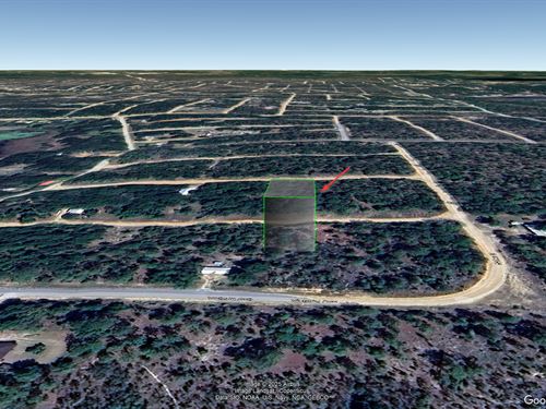 Lot in Interlachen, Fl, $214/Mo : Interlachen : Putnam County : Florida