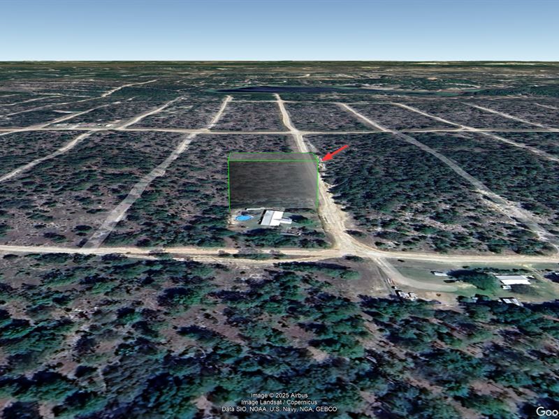 Hawthorne, FL Lot, Just $193/Mo : Hawthorne : Putnam County : Florida