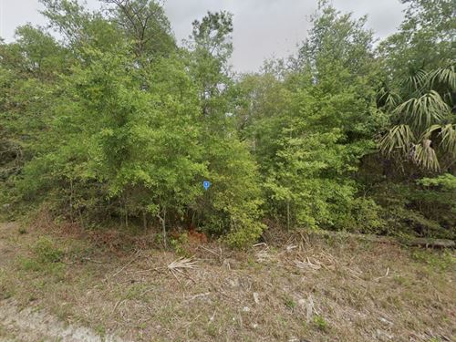 $253/Mo, Pond Access, Satsuma, FL : Satsuma : Putnam County : Florida