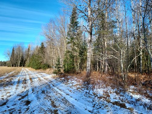 Old Farmstead Property : Phillips : Price County : Wisconsin