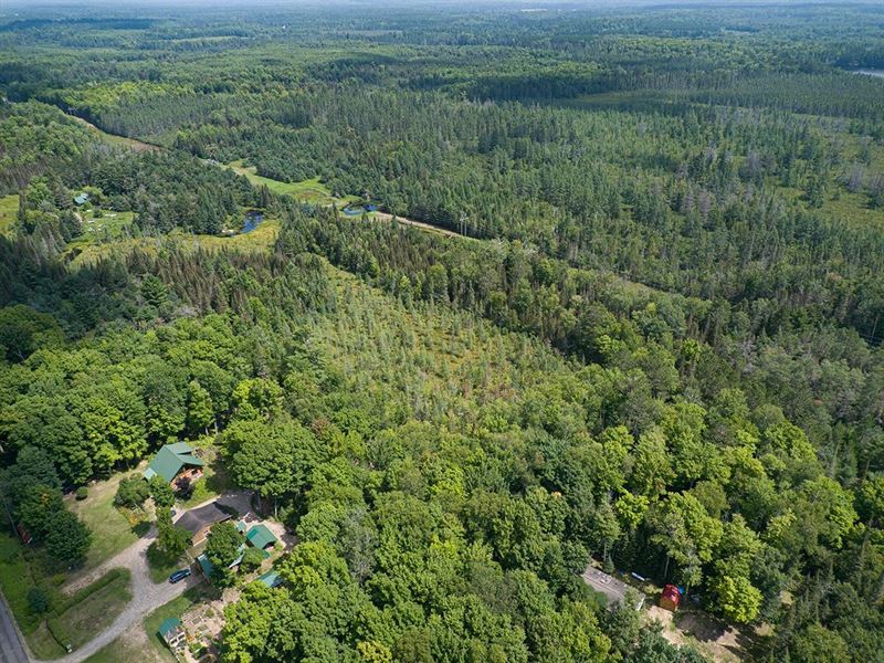 5 AC Wooded Parcel : Lincoln : Vilas County : Wisconsin