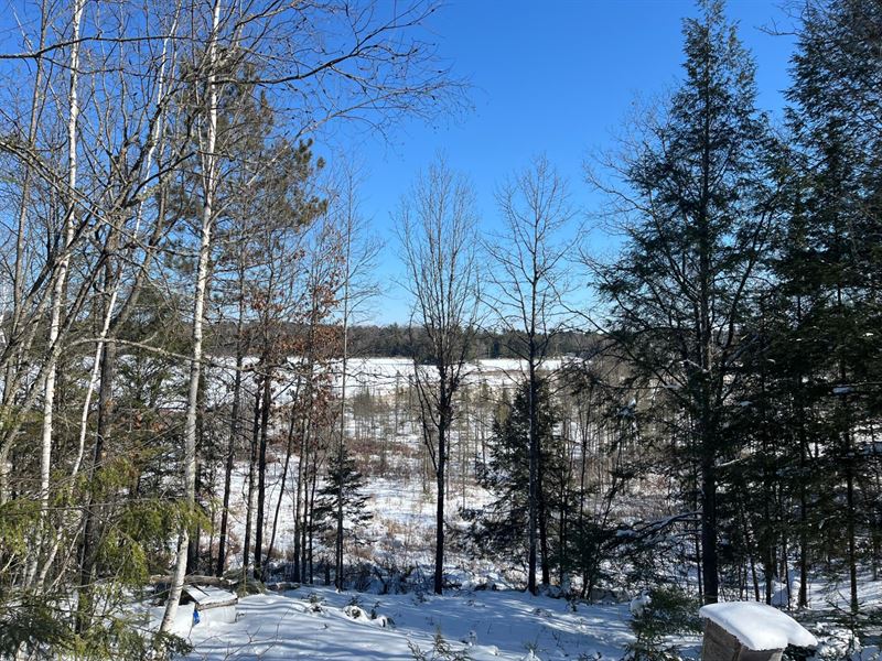 Squirrel Lake Parcel : Minocqua : Oneida County : Wisconsin