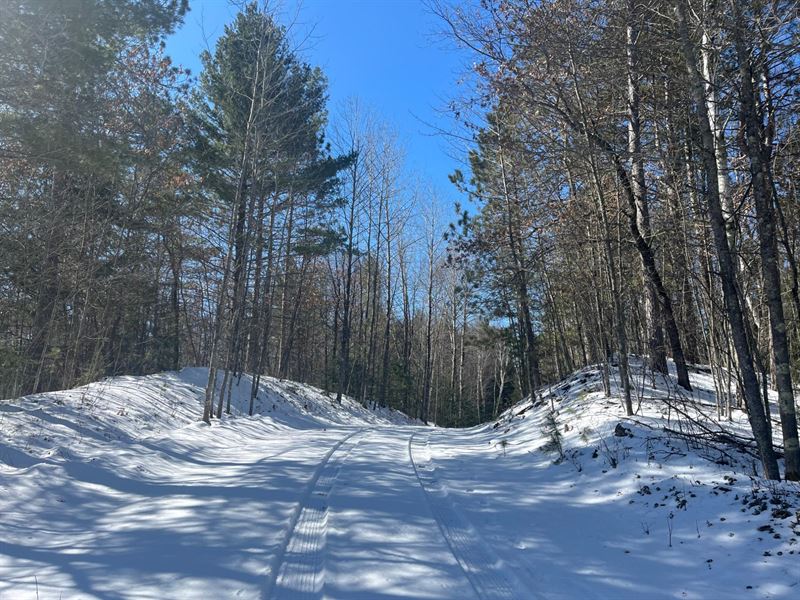 Wooded Parcel Near Squirrel Lake : Minocqua : Oneida County : Wisconsin