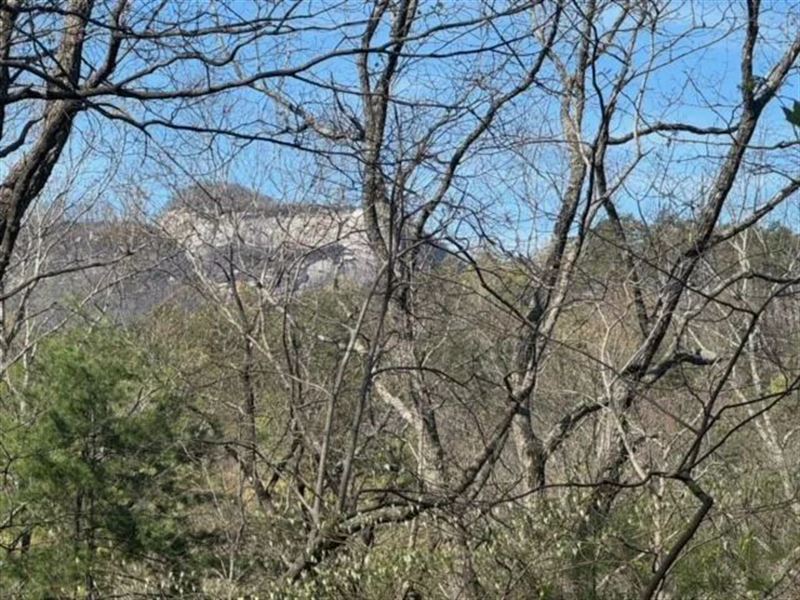 2.51 Acres On Ledge Road in Cle : Cleveland : Greenville County : South Carolina