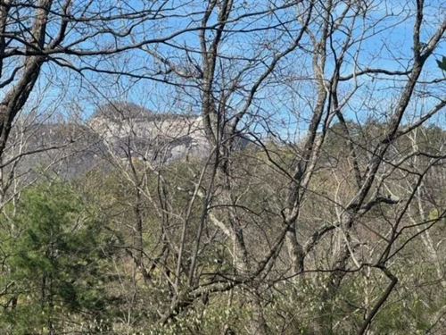 2.51 Acres on Ledge Road in Cle : Cleveland : Greenville County : South Carolina