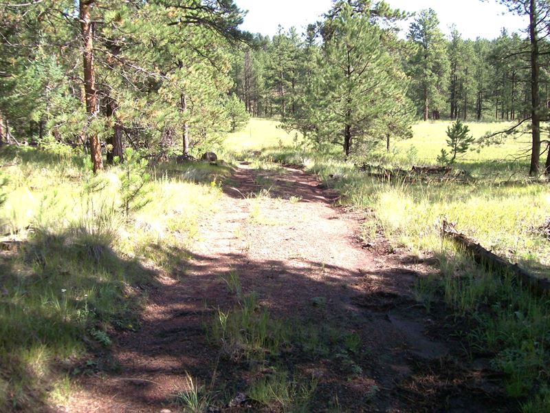 Beasley Hills Ranch Lot 3 : Florissant : Teller County : Colorado