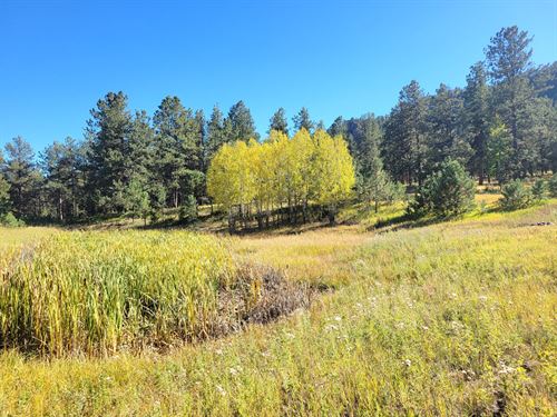 Beasley Hills Ranch Lot 4 : Florissant : Teller County : Colorado