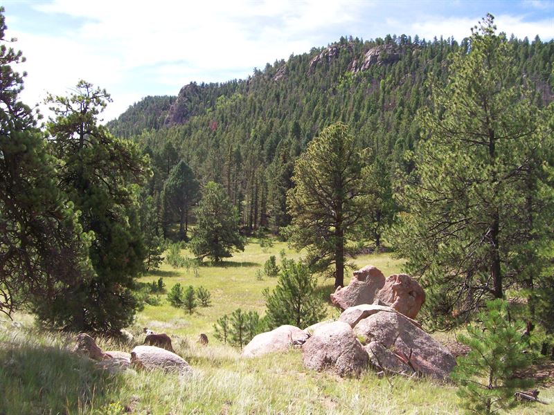 Beasley Hills Ranch Lot 2 : Florissant : Teller County : Colorado