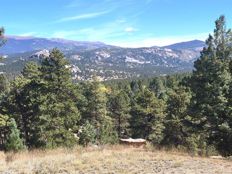 Beasley Hills Ranch Lot 1 : Florissant : Teller County : Colorado