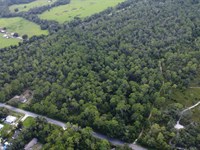 Land with Dense Trees & Water : Crescent City : Putnam County : Florida
