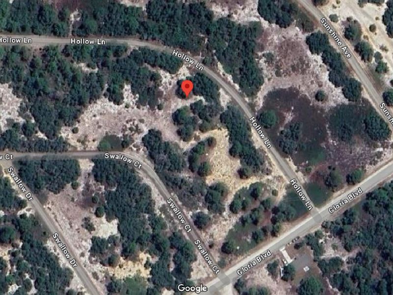 Grab This Lot Now Just $259/Month : Lake Placid : Highlands County : Florida