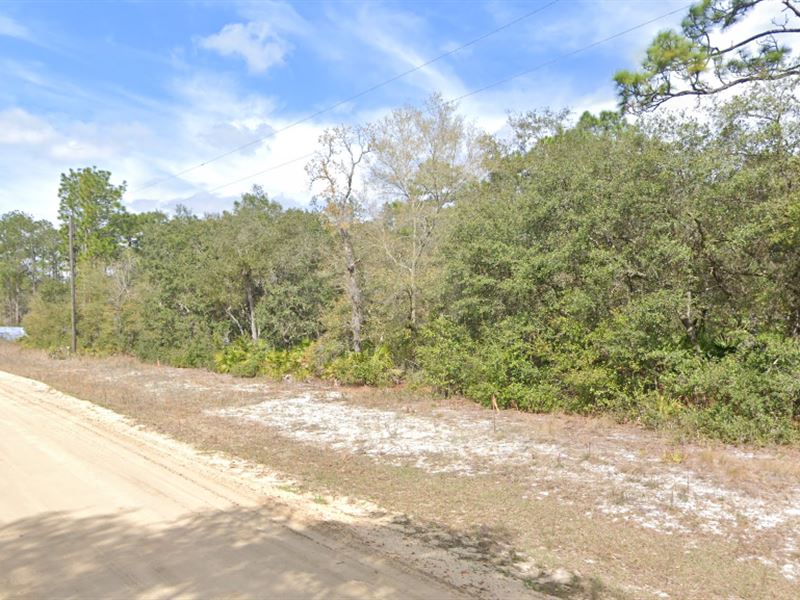 .22 Ac Charming Residential Land : Interlachen : Putnam County : Florida