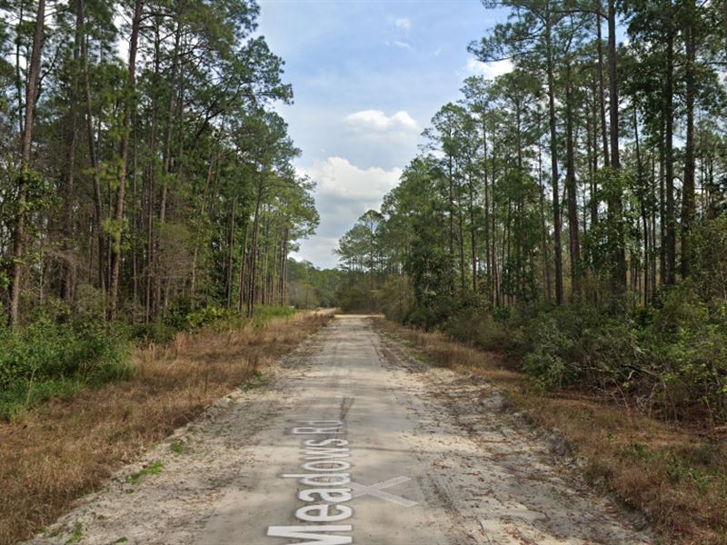 Your Dream Property on 0.31 Acres : Interlachen : Putnam County : Florida