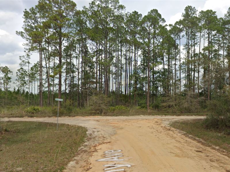 Your Piece of Paradise on .22 Acres : Interlachen : Putnam County : Florida