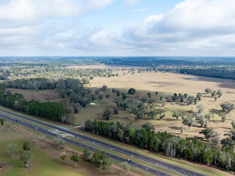 Hills of West Marion : Williston : Marion County : Florida