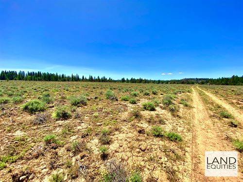 Remote Bargain Priced Lot Near Blm : Beatty : Klamath County : Oregon