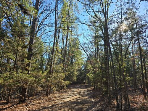 Shorty Creek 5 Acres : Moyers : Pushmataha County : Oklahoma