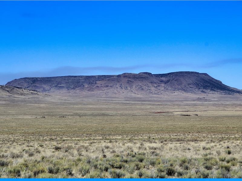 Low Risk and Cheap 5 Acres : San Luis : Costilla County : Colorado