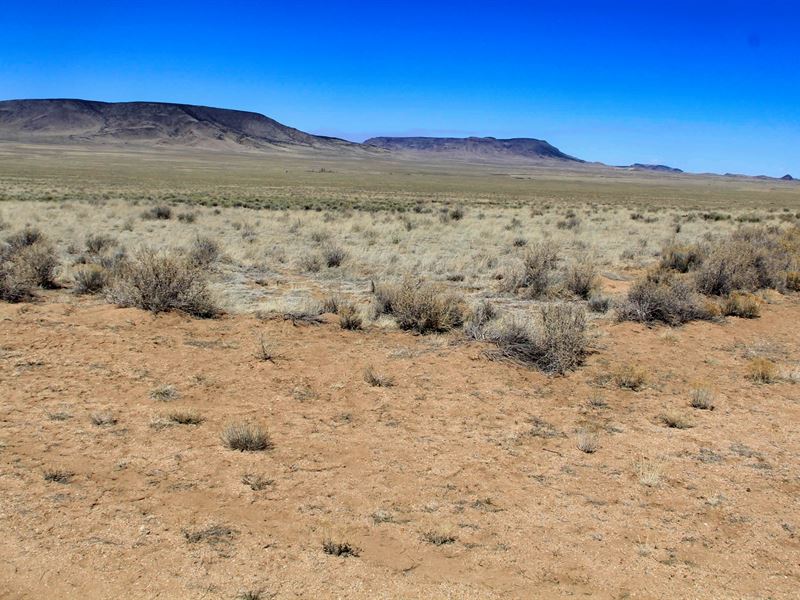 Retire in Peace on Quiet Near River : Alamosa East : Costilla County : Colorado
