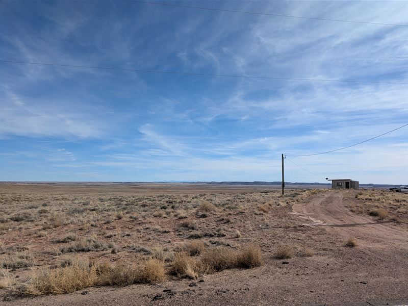 Power and Peace and The Park : Holbrook : Apache County : Arizona