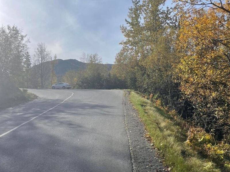 Great Building Lot Close to Anchora : Chugiak : Anchorage Borough : Alaska