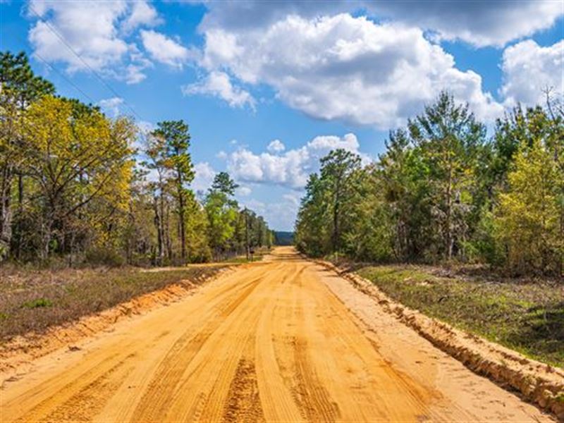 .26 Ac in Interlachen, $199/Mo : Interlachen : Putnam County : Florida