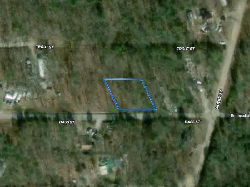 .32 Acre Lot, Charm of The Ozark : Kissee Mills : Taney County : Missouri