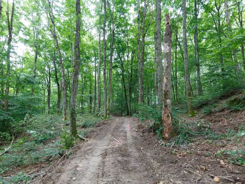 $999 Down, Last One in Wayne County : Pueblo : Wayne County : Kentucky