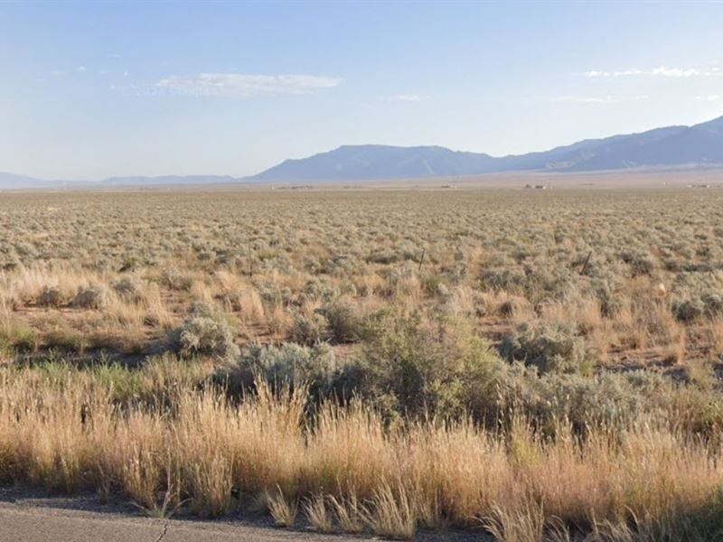 Your NM Lot, $59 Gets In : Belen : Valencia County : New Mexico