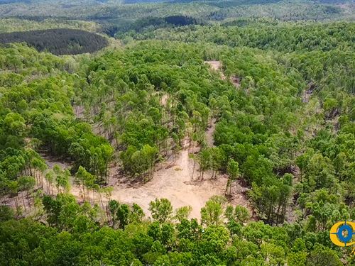 Highway 438 L4 : Centerville : Hickman County : Tennessee