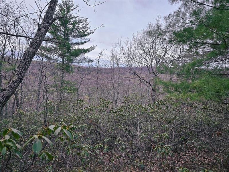 2.78 Acres of Residential Land : New Castle : Craig County : Virginia