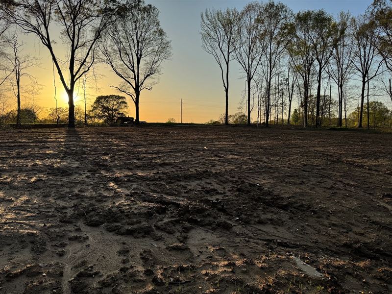 3.1 Acre Lot in Panola County, MS : Batesville : Panola County : Mississippi