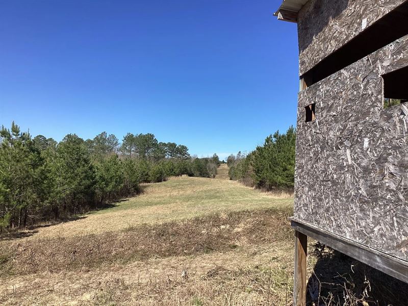110 Acres On Polk Road 639 in Polk : Vandervoort : Polk County : Arkansas