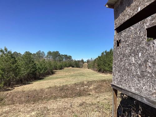 110 Acres On Polk Road 639 In Polk : Vandervoort : Polk County : Arkansas