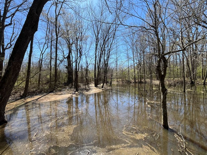 29 Acres in Jackson Parish, LA : Wyatt : Jackson Parish : Louisiana