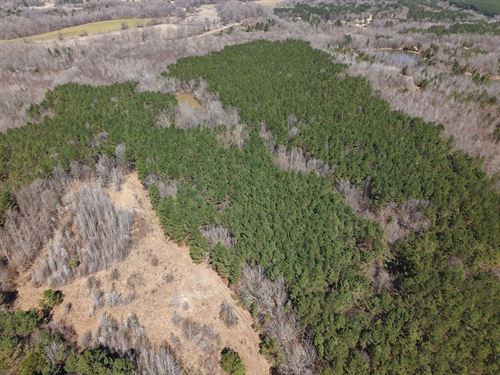 80 Acres In Marshall County, MS : Byhalia : Marshall County : Mississippi