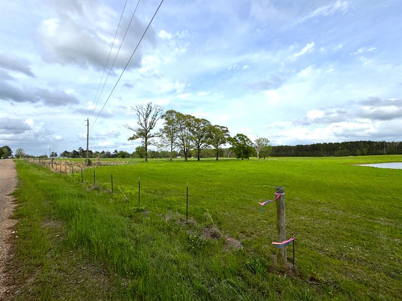 Beautiful 4.5 Acre Farm Land : Smithdale : Lincoln County : Mississippi