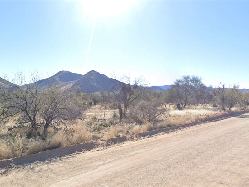 Diamond in The Rough : Tucson : Pima County : Arizona