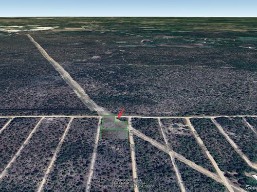 Find Peace and Quiet, $396/Mo : Interlachen : Putnam County : Florida