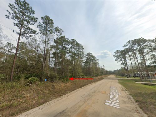 Your Dream Lot Awaits, $233/Mo : Interlachen : Putnam County : Florida