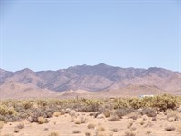 Power & Water Across Street : Dolan Springs : Mohave County : Arizona