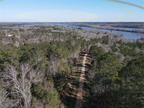 66-134 Alabama River Lots : Camden : Wilcox County : Alabama