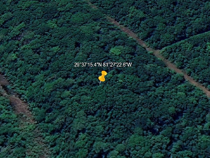 Rural Land Deal Only $491/Month : Flagler Estates : Flagler County : Florida