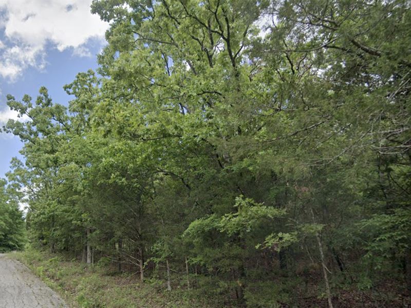 Retirement Dream Lot : Horseshoe Bend : Izard County : Arkansas
