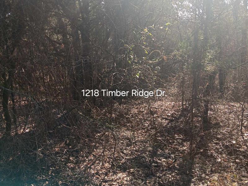 1/2 Acre with Creek : Horseshoe Bend : Izard County : Arkansas